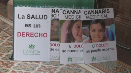Argentina debate uso terapéutico de aceite de marihuana