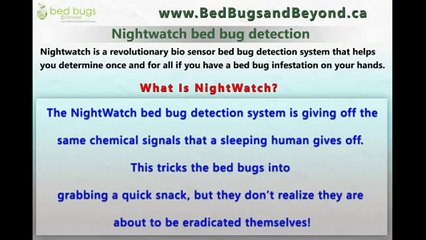 Bed Bug Detection System