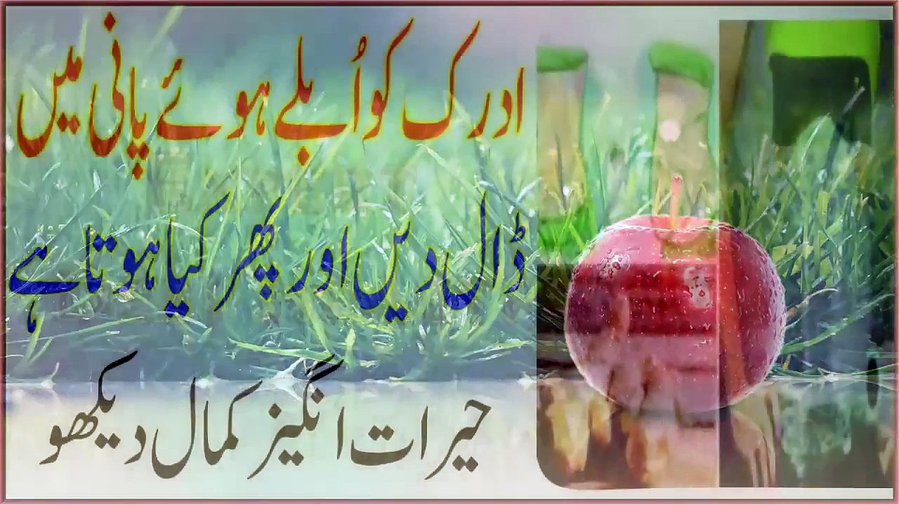 Adrak Ko Ublay Huwe Pani Me Daal Do Aur Phir Dekho Kia Hota Hai Pait Ki Charbi Life Time Finish Hogi