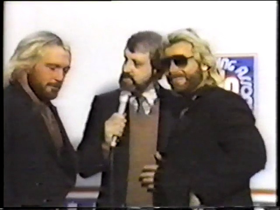 The Fabulous Ones promo
