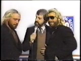 The Fabulous Ones promo