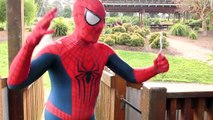 Spiderman Vs Spidergirl - Superhero Battle! w_ Hulk and Joker Superhero Time part 2