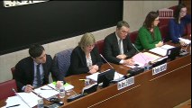 Intervention d'Annie Le Houérou en commission - PPL Langues régionales