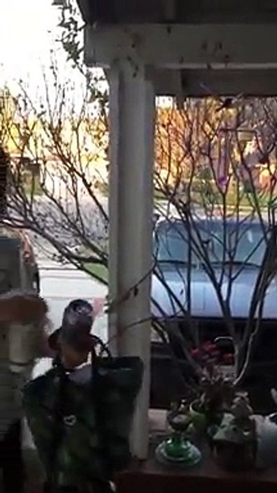 Il s’amuse à rendre sa mère folle en lui faisant des blagues toute la journée