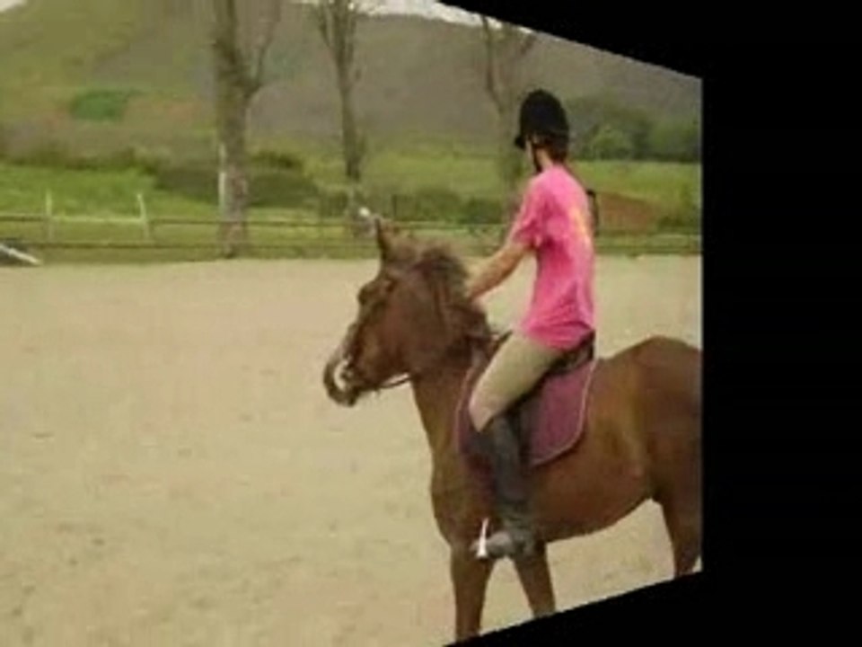 Qalif