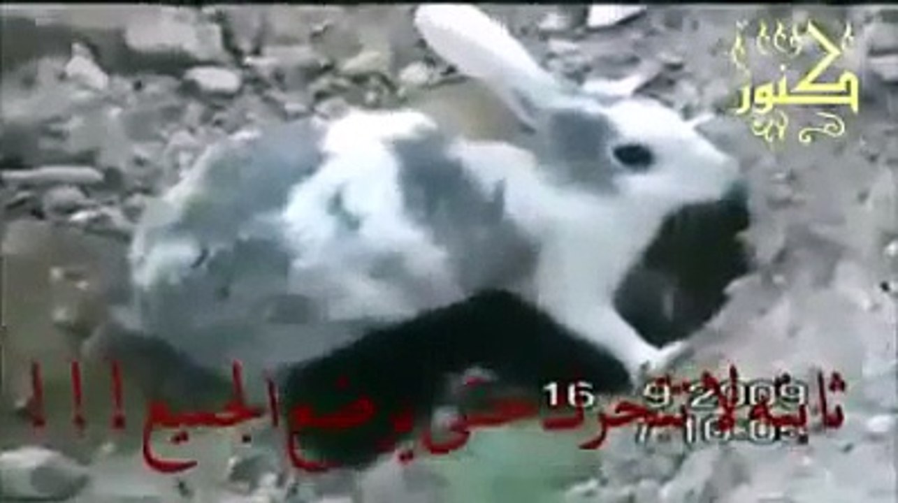 Kudrat Ka Karishma _ Tune.pk