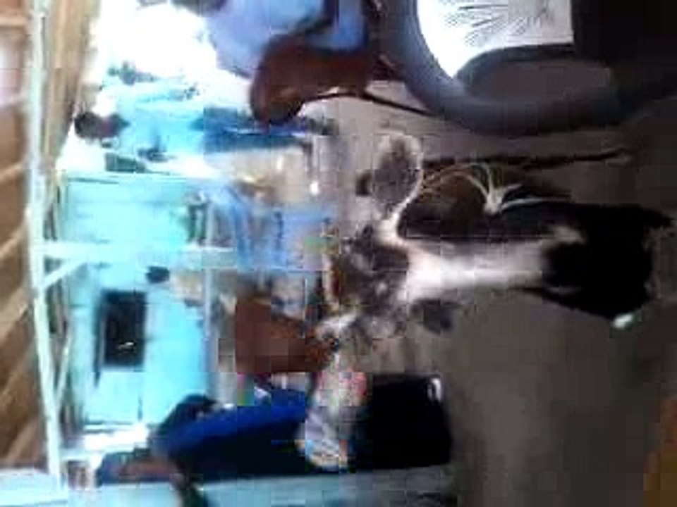 Bakri Drinking Coca Cola Very Funny