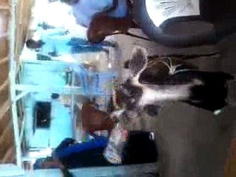 Bakri Drinking Coca Cola Very Funny