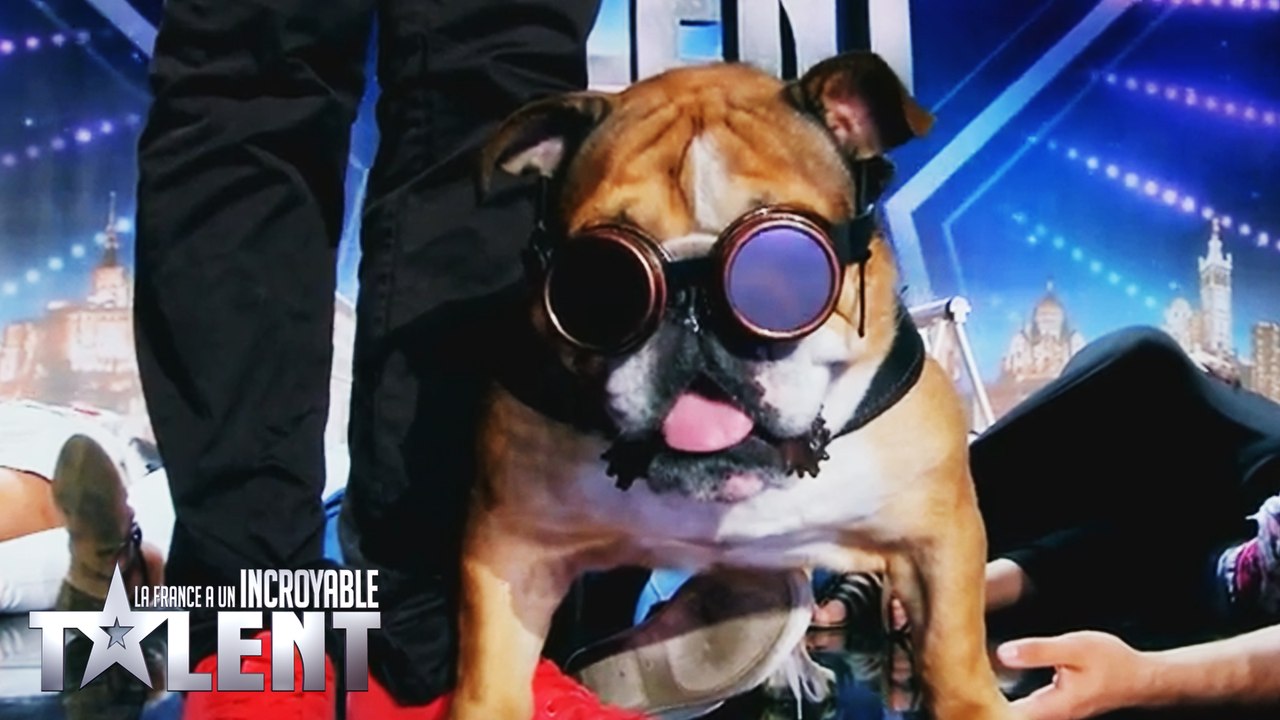 Hypnoteam - France's Got Talent 2016 - Week 5