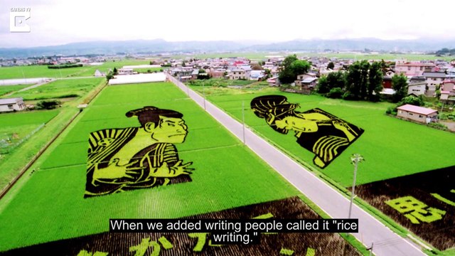 Japanese Artist Creates Rice Art Too Beautiful To Eat