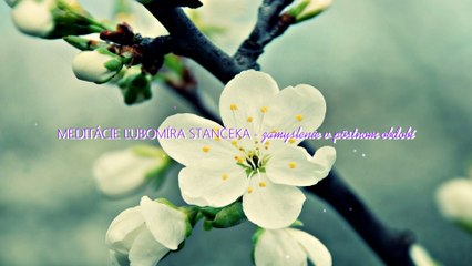 Ježiš sa nám dáva na kríži ako dar lásky