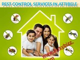 Pest control services in Bangalore | Pest control services in Attibele