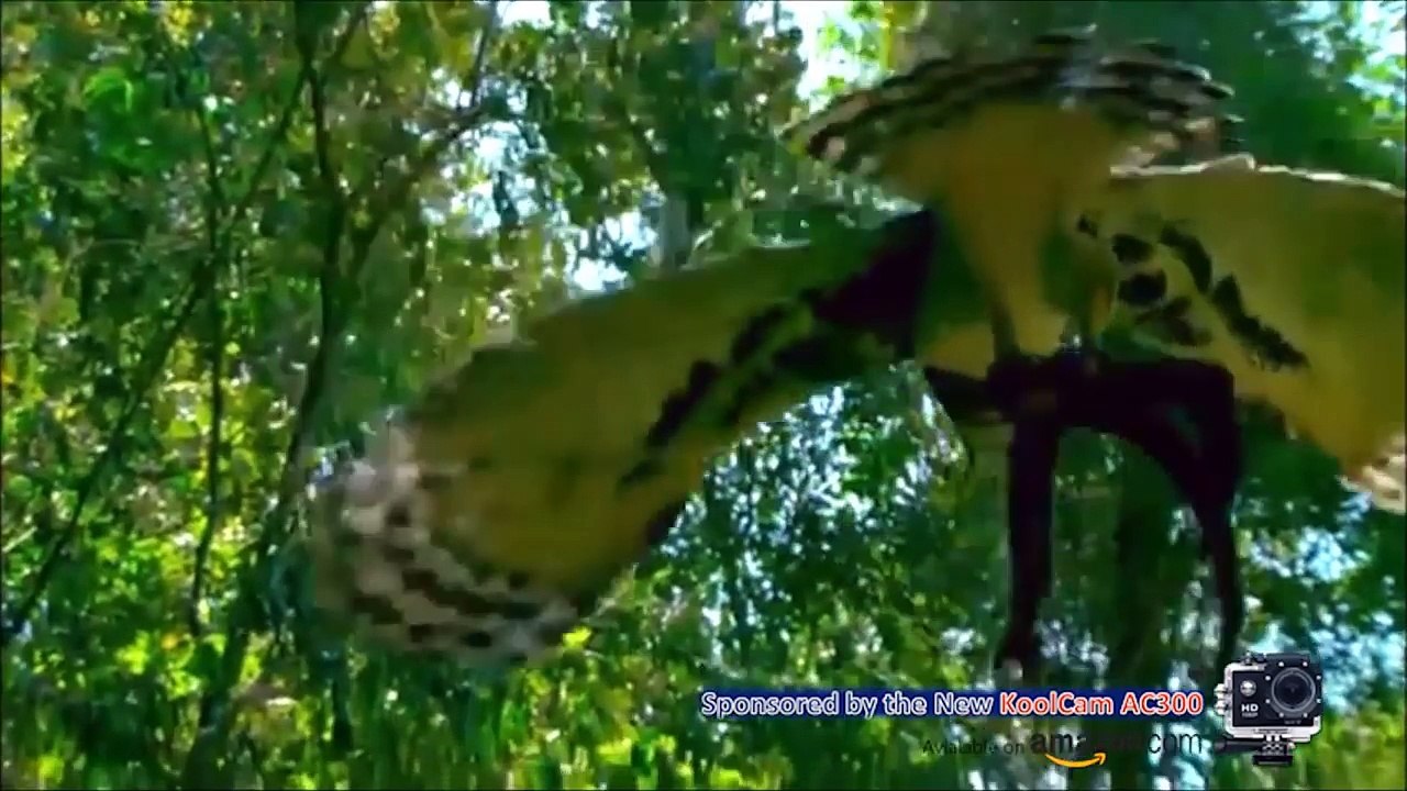 Top 10 Eagle Attack