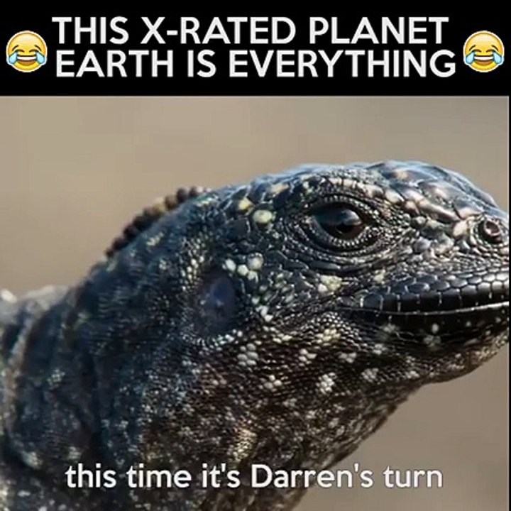 Earth is everything