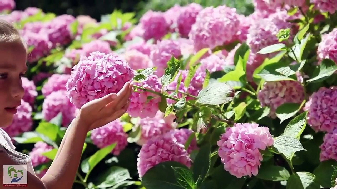 Smelly Feet Badboo se Nijat in Urdu Hindi - Foot Odor Fast Treatment - Stinky Feet Solution