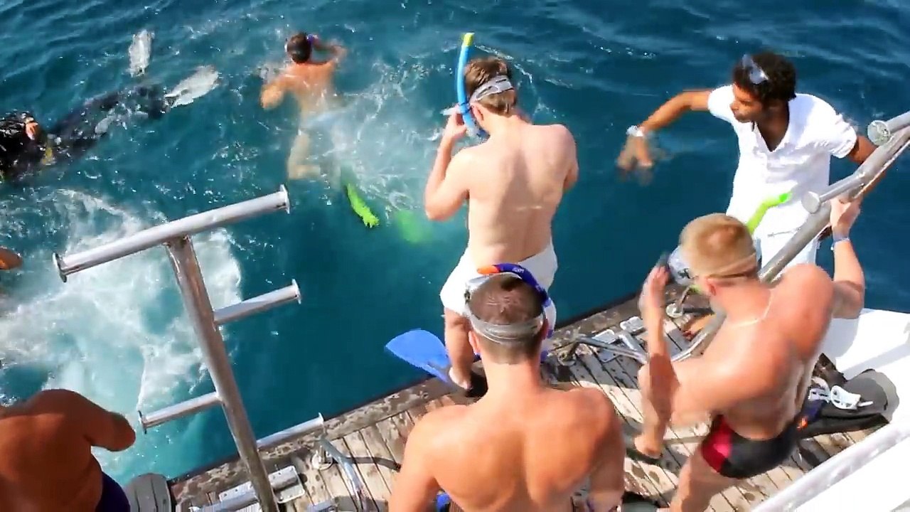 Египет Красное море. Снорклинг / Egypt Red Sea Snorkeling