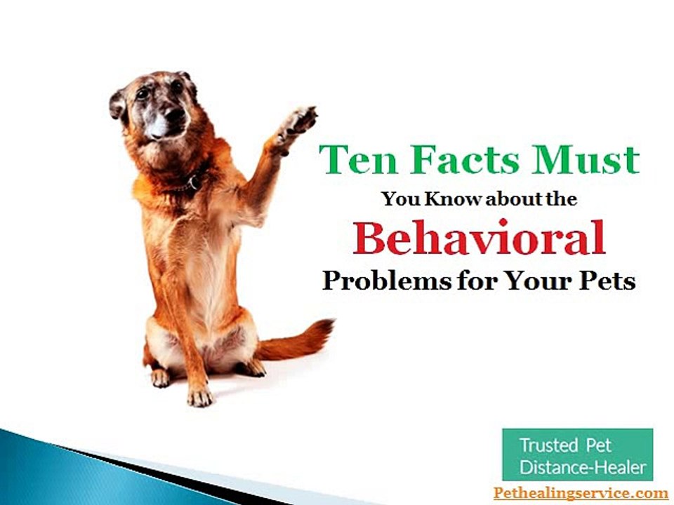 Ten Behavioral Problems in Your Pets