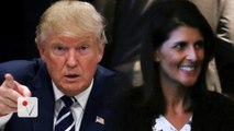 Trump Picks South Carolina Gov. Nikki Haley as U.N. Ambassador