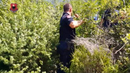 Report TV - "Dasmorët po vijnë, kujdes Krushqit" Përgjimet ndaj policit