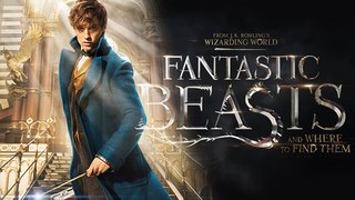 Watch Fantastic Beasts and Where to Find Them - Full Movie Online [HD]