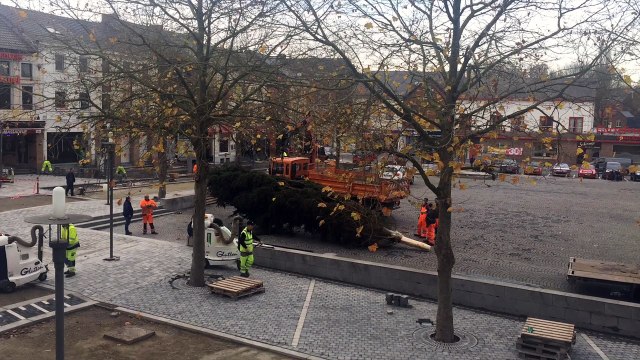 Sambreville: le sapin de Noël de la Grand-Place d'Auvelais est arrivé!