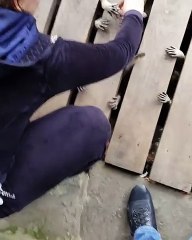 Dozens of little legs under the platform, guess who they are -
