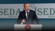 Эрдоган: голосование в Европарламенте означает, что Европа поддерживает терроризм