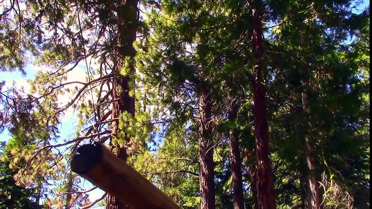 Construction Trucks for Kids - JackJackPlays Tahoe Vacation 3 - Excavators, Loaders, Bulldozer - YouTube