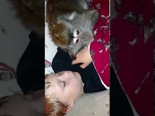 The Friends That Nap Together, Stay Together