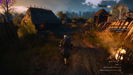 [Test] The Witcher 3 [WQHD]