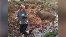 Un cerf tombe amoureux d'une jeune fille