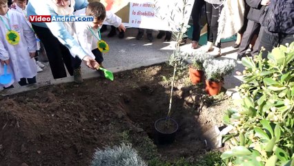 Albero in memoria di Jolanda Inchingolo vittima dell'incidente ferroviario Andria - Corato