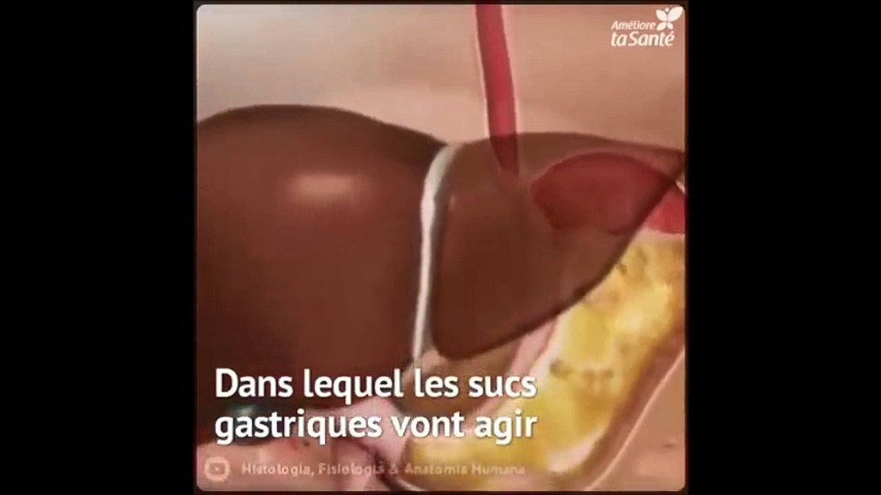 DE LA BOUCHE AU RECTUM