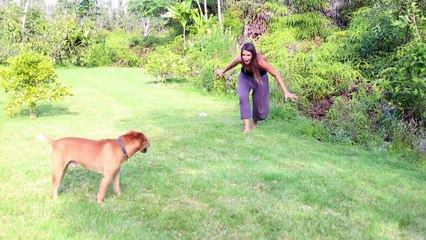 Amazing bond between woman and dog