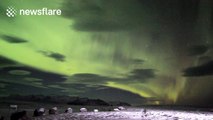 Beautiful Aurora Borealis timelapse over Iceland