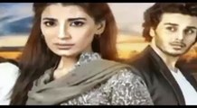 Saya e Dewar Bhi Nahi Episode 16 Promo HD HUM TV Drama 23 November 2016