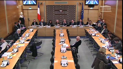 Réforme du Statut de Paris - Audition d'Anne Hidalgo - Commission des Lois