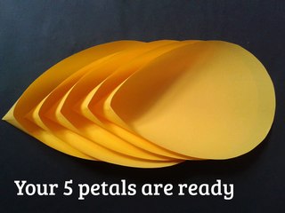 How to make giant flower with tissue paper