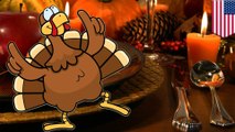 Selamat hari Thanksgiving! Animasi spesial dari Animator Taiwan - Tomonews
