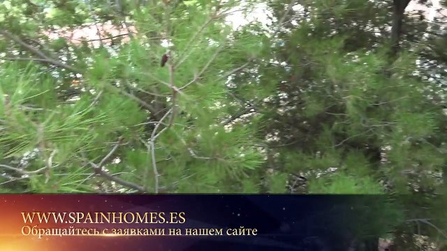 Квартира в районе пляжа Poniente Бенидорма от банка недорого. Недвижимость в Испании в кредит