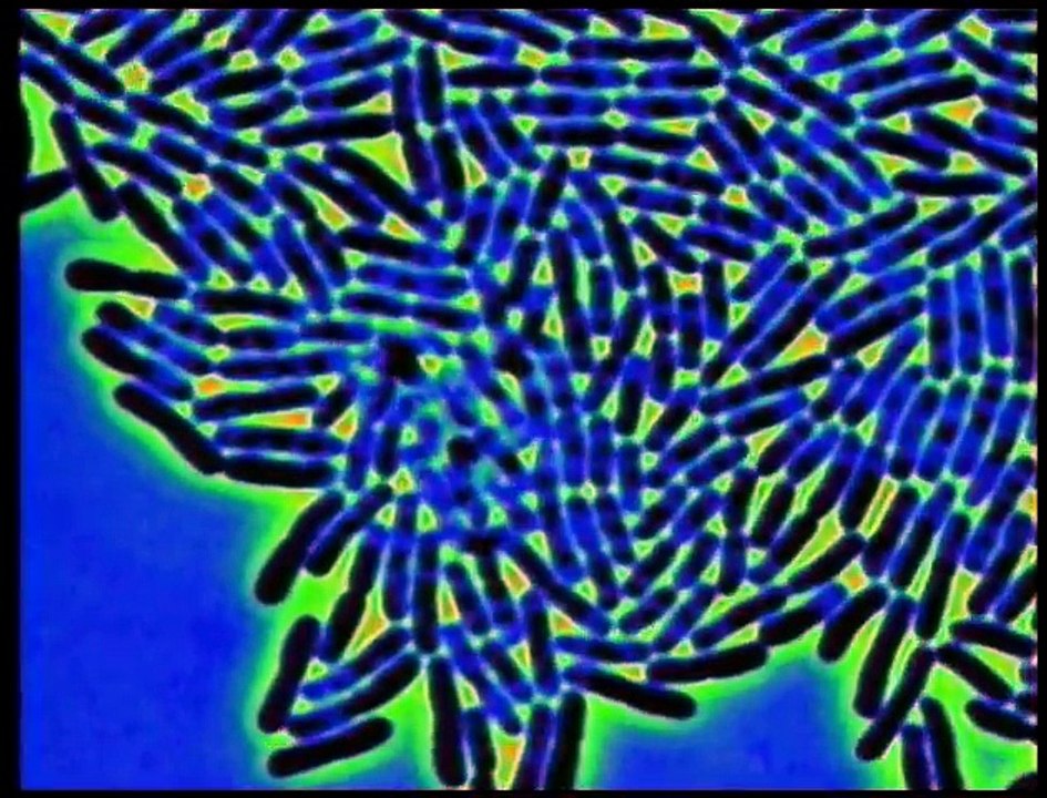 Core Evidence - Forensic Files