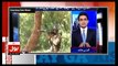 Dr. Aamir Liaquat Hussain Criticizes Shahzaib Khanzada's Last Night Show