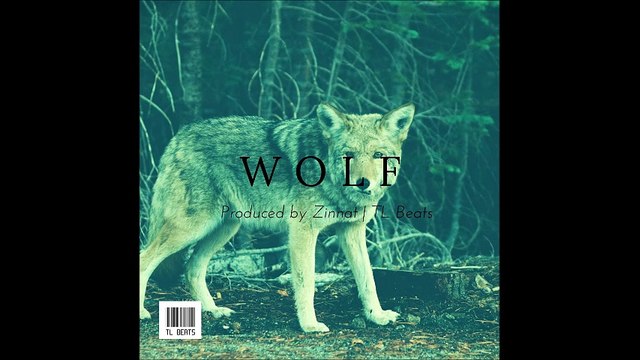 Dope Hip Hop Instrumental Rap Beat 2016 | Wolf | TL Beats