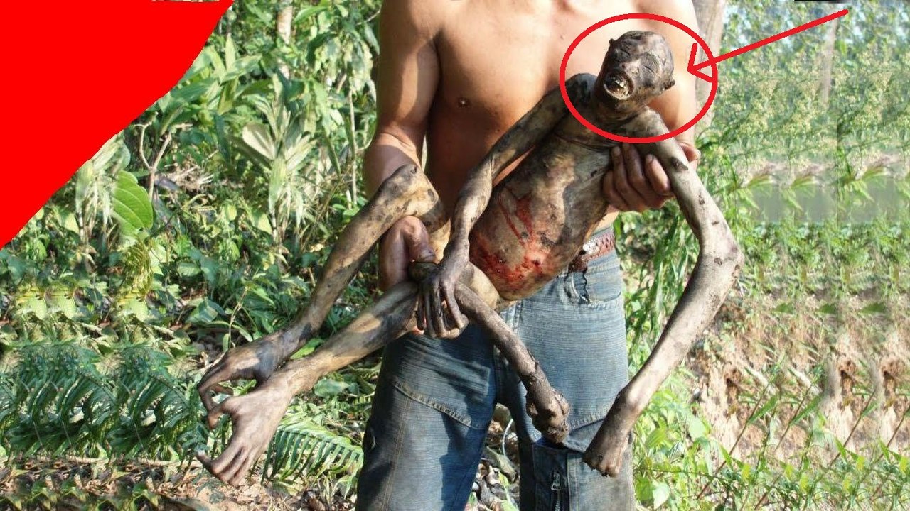 More Strange Creatures and Cryptids Caught on Tape