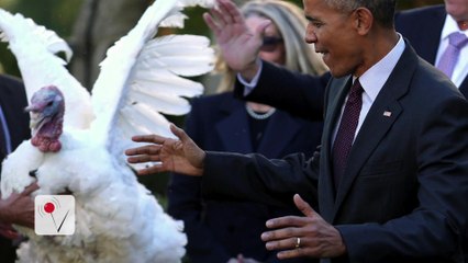 President Obama has Pardoned More People Than Turkeys