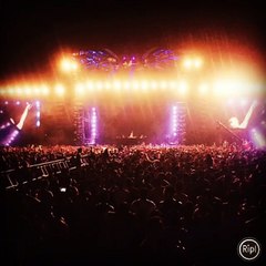 Bellytray Preneur FROM CORE HOSPITALITY SERVICES