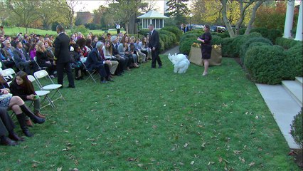 Barack Obama gracie une dinde pour Thanksgiving