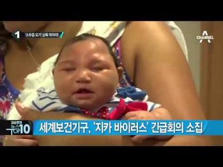 지카 바이러스’ 감염되면 증상은?_채널A_뉴스TOP10