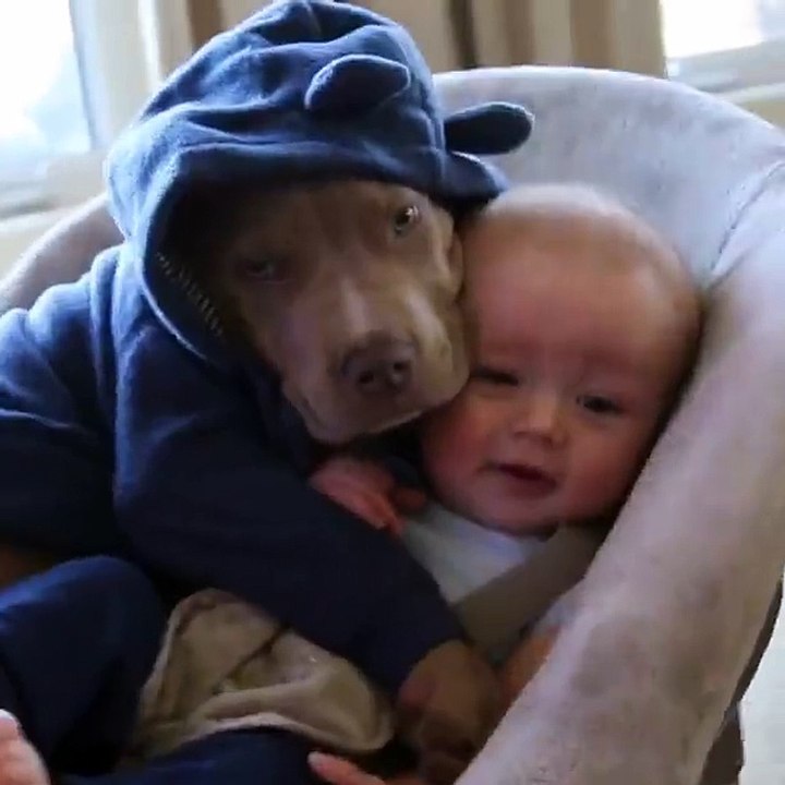 Bebe y Perro Mejores AMigos