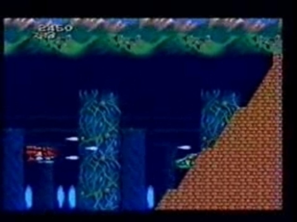 Gros Plan Sur La Souris - 01